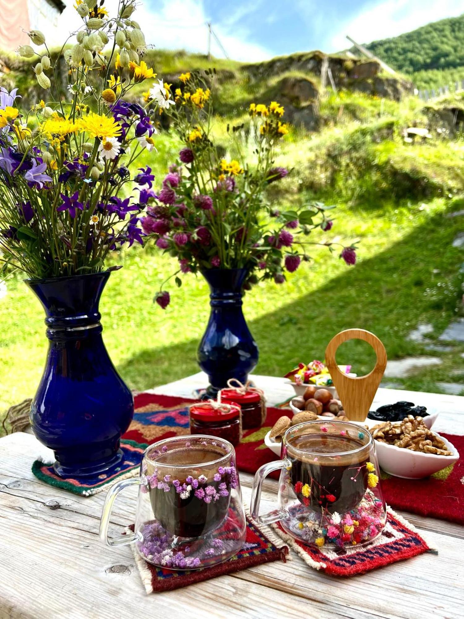Ushguli 12 Century Hotel Екстериор снимка
